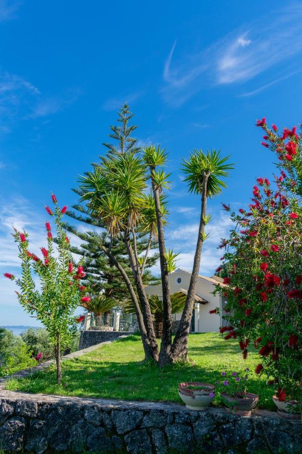 Villa Emily Achílleion Exteriér fotografie
